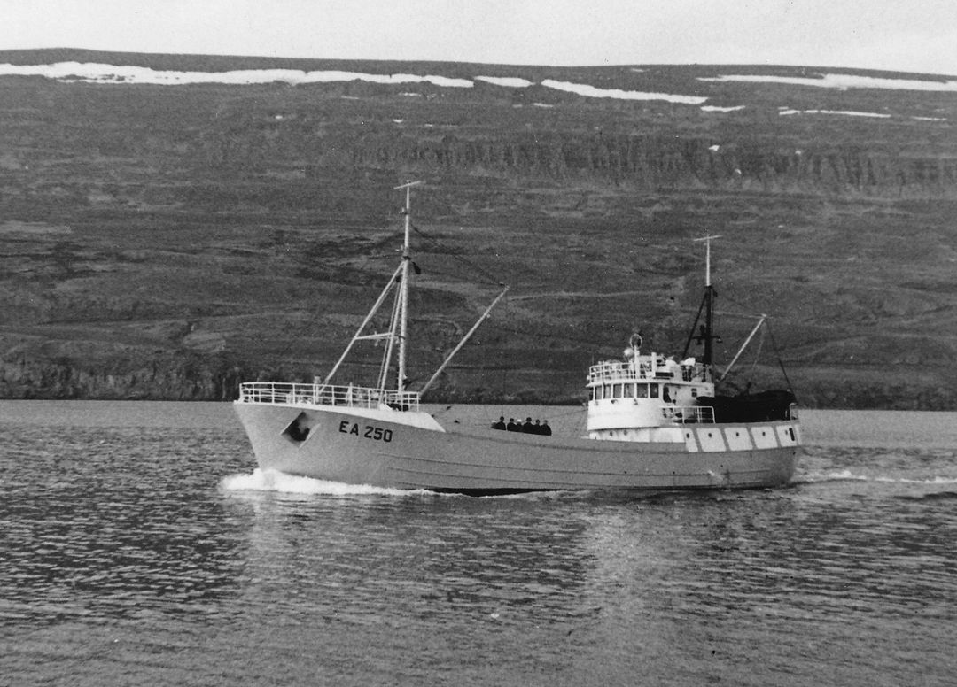 Alltaf flottur