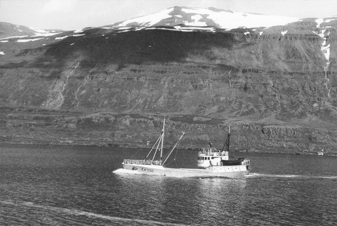 Inn á Seyðó