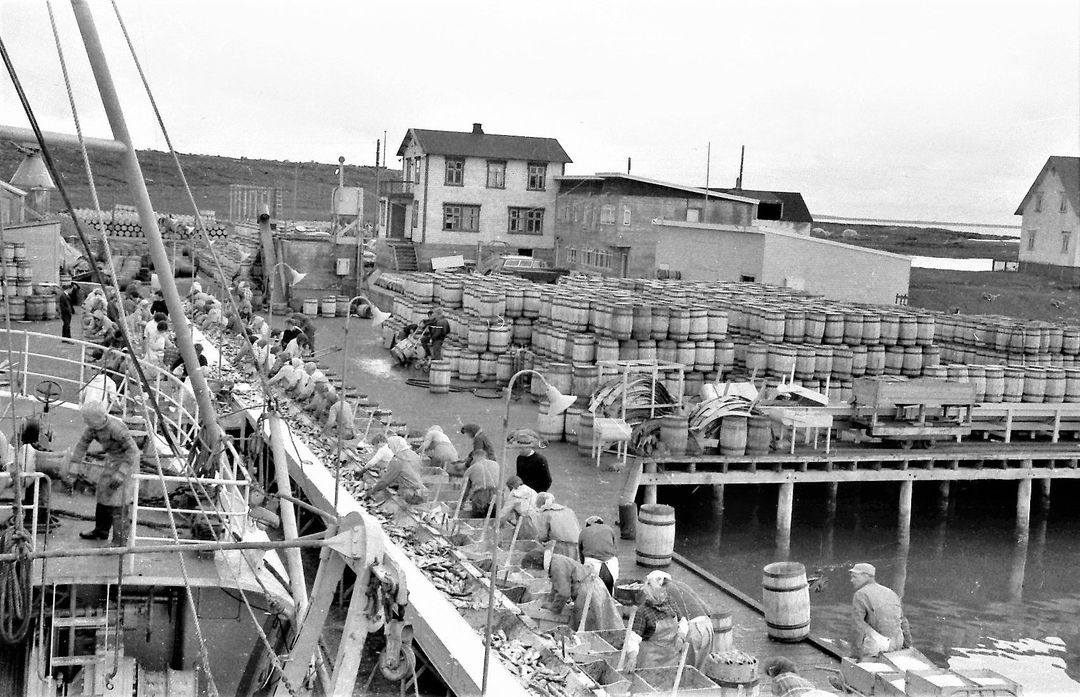 1964 u.þ.b. (3)