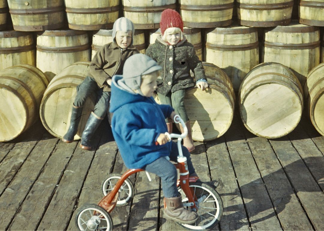 Pétur og co