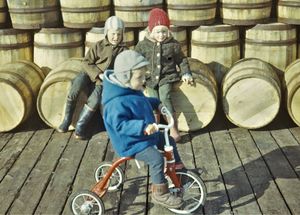 Pétur og co