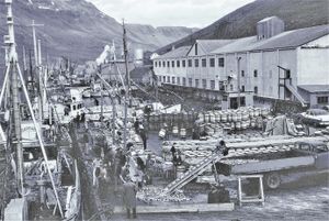 1960 u.þ.b., allt á fullu
