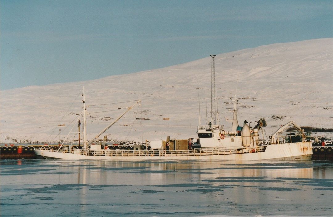 D - 1988