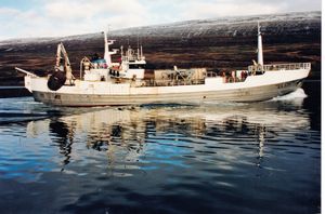 E - 1995 u.þ.b., í lygnu inn pollinn